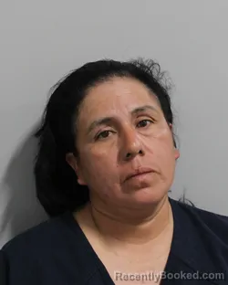 Mugshot of LETICIA CRUZ ALVAREZ booked in Polk County, Florida on March 18, 2026
