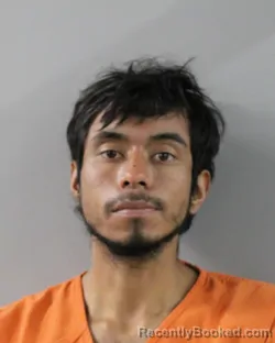 Mugshot of DAVID MARINIS booked in Polk County, Florida on March 19, 2026