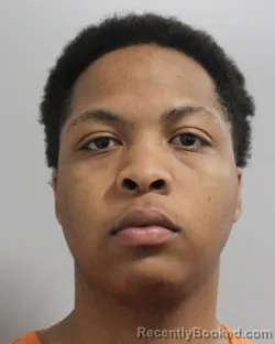 Mugshot of DUANE PALMER booked in Polk County, Florida on March 19, 2026