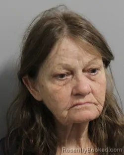 Mugshot of JUDY HOWARD booked in Polk County, Florida on March 20, 2026