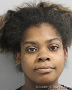 Mugshot of BRANDY LEWIS booked in Polk County, Florida on March 20, 2026