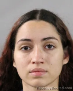 Mugshot of ANGEL TEJEDA booked in Polk County, Florida on March 20, 2026