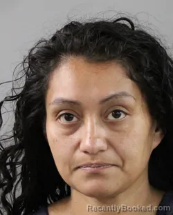 Mugshot of JUANITA BEJAR booked in Polk County, Florida on March 20, 2026