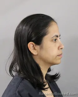 Mugshot of LADYS GARCIA SEGURA booked in Polk County, Florida on March 21, 2026