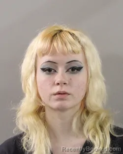 Mugshot of SAVANNAH TRESSLER booked in Polk County, Florida on March 22, 2026