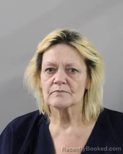 Mugshot of LISA VINES booked in Polk County, Florida on March 22, 2026