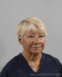 Mugshot of LUPE ANDERSON booked in Polk County, Florida on March 23, 2026