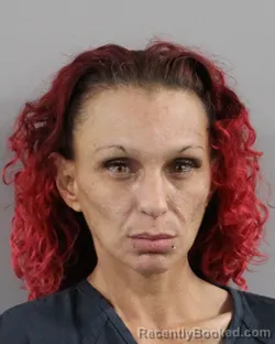 Mugshot of MEGAN SERODE booked in Polk County, Florida on March 24, 2026