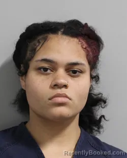 Mugshot of KAYLA KRAUSE booked in Polk County, Florida on March 24, 2026