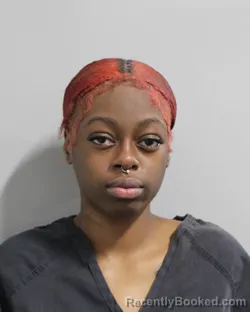 Mugshot of ZAHIRA SHAW booked in Polk County, Florida on March 24, 2026