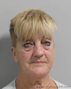 Mugshot of ELIZABETH FAIRALL booked in Polk County, Florida on March 24, 2026