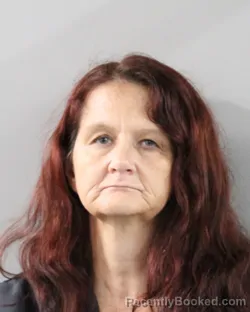 Mugshot of AMBER MILLER booked in Polk County, Florida on March 24, 2026