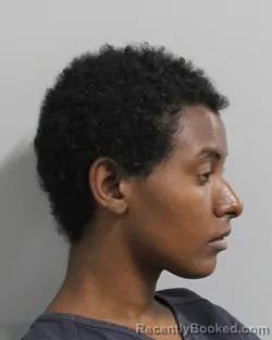 Mugshot of ZENASH LEE booked in Polk County, Florida on March 24, 2026