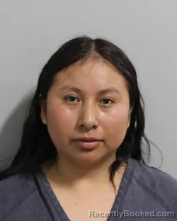 Mugshot of ANAHI VIGAS-LOPEZ booked in Polk County, Florida on March 24, 2026