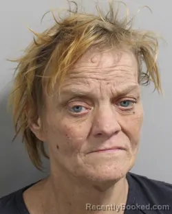 Mugshot of ROBIN HOLLAND booked in Polk County, Florida on March 25, 2026