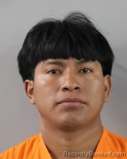 Mugshot of VIDAL MENDEZ JIMENEZ booked in Polk County, Florida on March 25, 2026