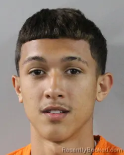 Mugshot of JOSEPH VEGA-CINTRON booked in Polk County, Florida on March 25, 2026