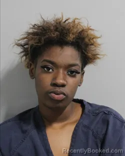 Mugshot of AMIYAH JOHNSON booked in Polk County, Florida on March 25, 2026