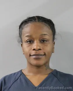 Mugshot of SHANNON GREEN booked in Polk County, Florida on March 25, 2026