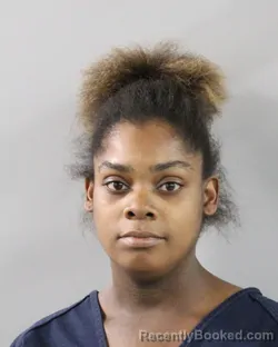 Mugshot of BRANDY LEWIS booked in Polk County, Florida on March 25, 2026