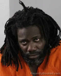 Mugshot of TROY MCLEAN booked in Polk County, Florida on March 25, 2026