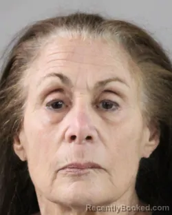 Mugshot of NANCY BOCCELLA booked in Polk County, Florida on March 25, 2026
