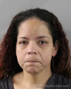 Mugshot of LISA ROSAS RAMOS booked in Polk County, Florida on March 26, 2026