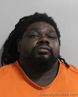 Mugshot of ELI ELFILS booked in Polk County, Florida on March 26, 2026