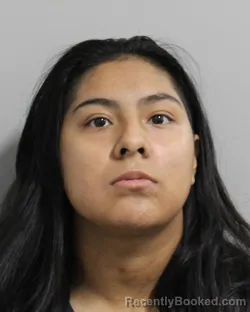 Mugshot of LUCIANA MARTINEZ-LUJANO booked in Polk County, Florida on March 26, 2026