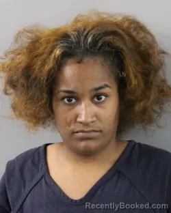 Mugshot of LAURA HALL booked in Polk County, Florida on March 26, 2026