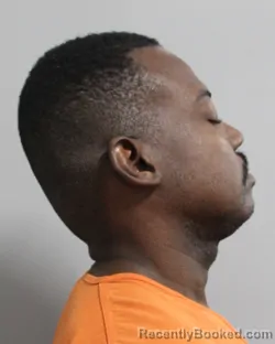 Mugshot of DUCKENS DUBIQUE booked in Polk County, Florida on March 27, 2026