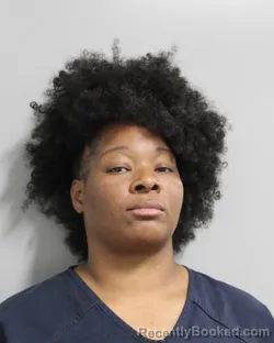 Mugshot of BRIDGET VERNEIUL booked in Polk County, Florida on March 27, 2026