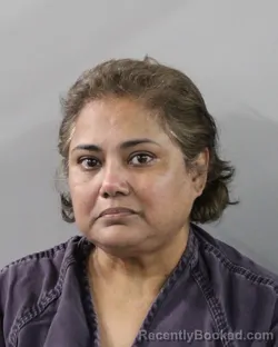 Mugshot of MANJU SEERAM booked in Polk County, Florida on March 27, 2026