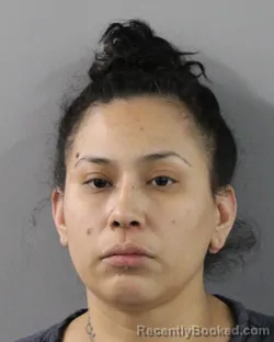 Mugshot of AMANDA GALLEGOS booked in Polk County, Florida on March 28, 2026