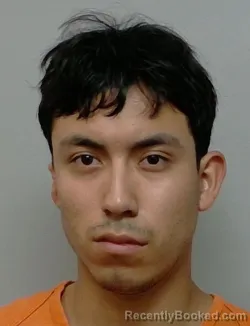 Mugshot of LUIS REYES DEL CARMEN booked in Polk County, Florida on March 28, 2026