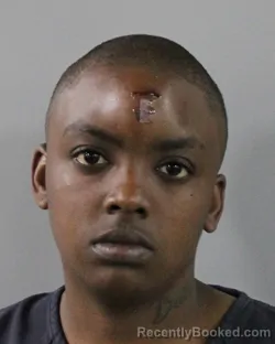 Mugshot of NAJIYA MCDOWALL booked in Polk County, Florida on March 28, 2026