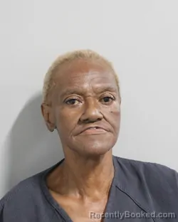 Mugshot of DIANA MURPHY booked in Polk County, Florida on March 28, 2026