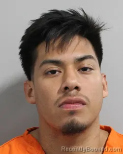 Mugshot of ALEX PAULINO booked in Polk County, Florida on March 29, 2026