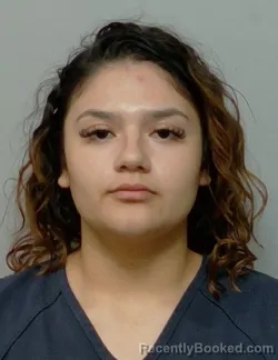 Mugshot of ESMERIN LOPEZ booked in Polk County, Florida on March 29, 2026