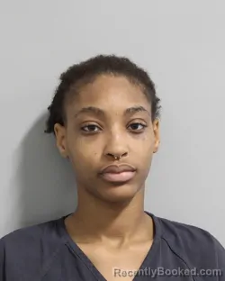 Mugshot of BRYANNE GIBBS booked in Polk County, Florida on March 29, 2026