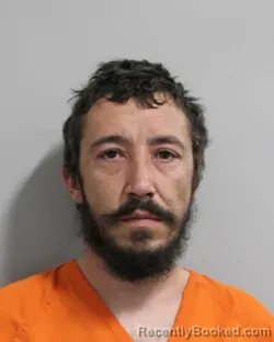 Mugshot of CLINTON DEES booked in Polk County, Florida on March 30, 2026