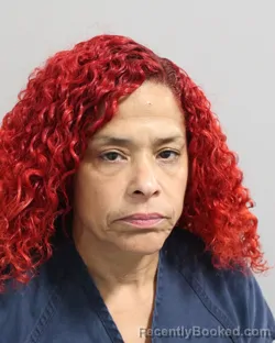 Mugshot of VANESSA WILKERSON booked in Polk County, Florida on March 30, 2026