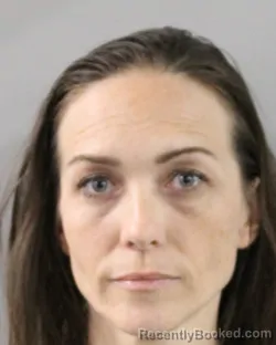 Mugshot of LISA FERNANDEZ booked in Polk County, Florida on March 30, 2026