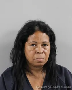 Mugshot of TANIA FRIAS booked in Polk County, Florida on March 31, 2026