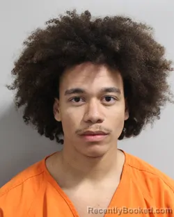 Mugshot of TAVION CALABRO booked in Polk County, Florida on March 31, 2026