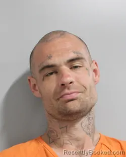 Mugshot of RICHARD ALLEN booked in Polk County, Florida on March 31, 2026