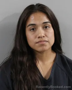 Mugshot of VICTORIA FIESELER booked in Polk County, Florida on March 31, 2026