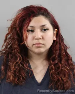 Mugshot of BRITTNEY OVIEDO booked in Polk County, Florida on March 31, 2026