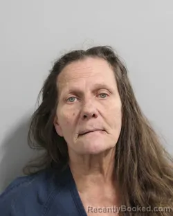 Mugshot of MICHELLE VIAGGIO booked in Polk County, Florida on March 31, 2026