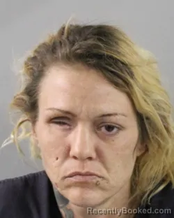 Mugshot of ERIKA WARNOCK booked in Polk County, Florida on March 31, 2026